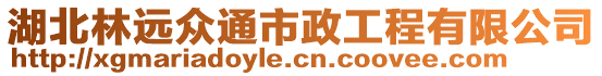 湖北林遠眾通市政工程有限公司