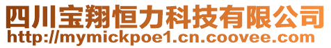 四川宝翔恒力科技有限公司