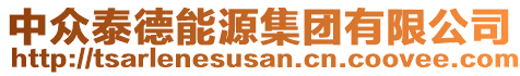 中眾泰德能源集團(tuán)有限公司