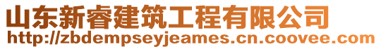 山东新睿建筑工程有限公司