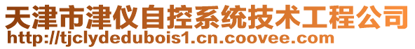 天津市津仪自控系统技术工程公司