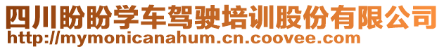 四川盼盼学车驾驶培训股份有限公司