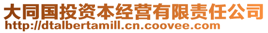 大同國投資本經(jīng)營有限責(zé)任公司