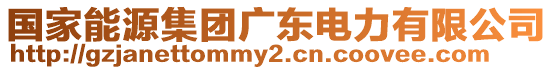 國(guó)家能源集團(tuán)廣東電力有限公司