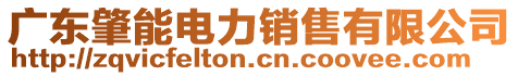 廣東肇能電力銷售有限公司