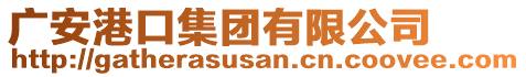 廣安港口集團(tuán)有限公司