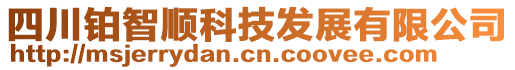 四川鉑智順科技發(fā)展有限公司