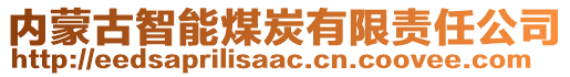 内蒙古智能煤炭有限责任公司