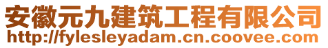 安徽元九建筑工程有限公司