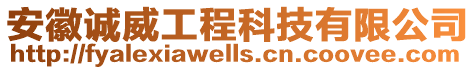 安徽誠威工程科技有限公司