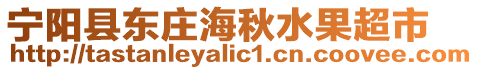 寧陽縣東莊海秋水果超市