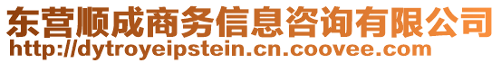 東營順成商務(wù)信息咨詢有限公司