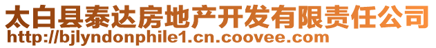 太白縣泰達(dá)房地產(chǎn)開(kāi)發(fā)有限責(zé)任公司