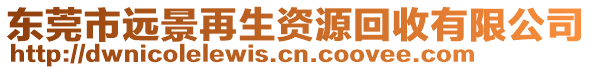 东莞市远景再生资源回收有限公司