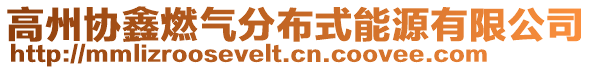 高州协鑫燃气分布式能源有限公司