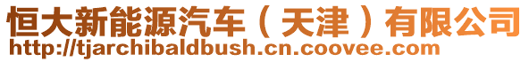 恒大新能源汽车（天津）有限公司