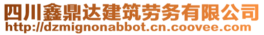 四川鑫鼎達建筑勞務有限公司