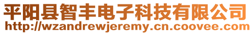 平阳县智丰电子科技有限公司