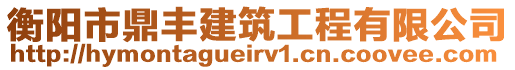 衡阳市鼎丰建筑工程有限公司