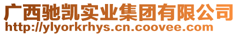 廣西馳凱實(shí)業(yè)集團(tuán)有限公司