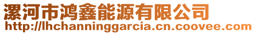 漯河市鴻鑫能源有限公司