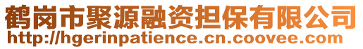 鶴崗市聚源融資擔(dān)保有限公司