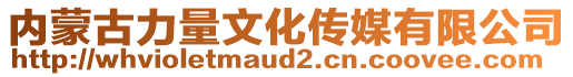 内蒙古力量文化传媒有限公司