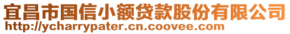 宜昌市國信小額貸款股份有限公司