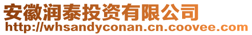 安徽潤泰投資有限公司