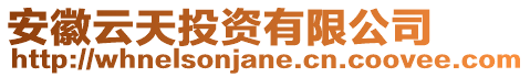 安徽云天投資有限公司