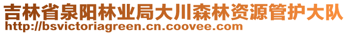 吉林省泉陽林業(yè)局大川森林資源管護大隊