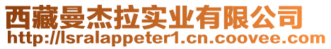 西藏曼杰拉實(shí)業(yè)有限公司