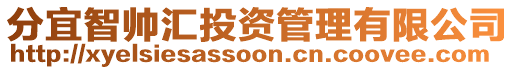 分宜智帅汇投资管理有限公司