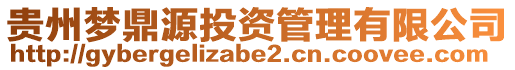 贵州梦鼎源投资管理有限公司