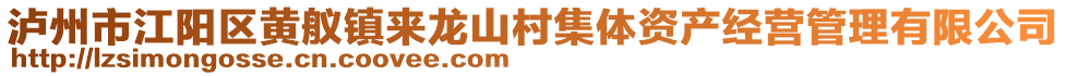 瀘州市江陽區(qū)黃艤鎮(zhèn)來龍山村集體資產(chǎn)經(jīng)營管理有限公司