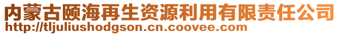 內(nèi)蒙古頤海再生資源利用有限責(zé)任公司