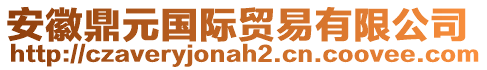 安徽鼎元國際貿(mào)易有限公司