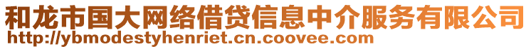 和龍市國大網(wǎng)絡(luò)借貸信息中介服務(wù)有限公司