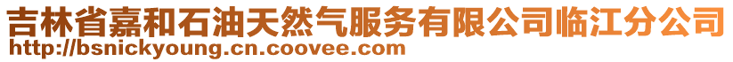 吉林省嘉和石油天然气服务有限公司临江分公司