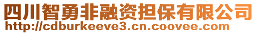 四川智勇非融資擔保有限公司