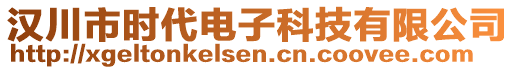 汉川市时代电子科技有限公司