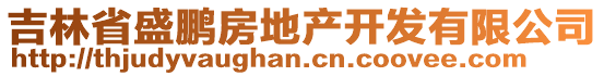 吉林省盛鵬房地產(chǎn)開(kāi)發(fā)有限公司