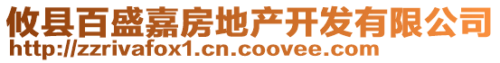 攸縣百盛嘉房地產(chǎn)開(kāi)發(fā)有限公司