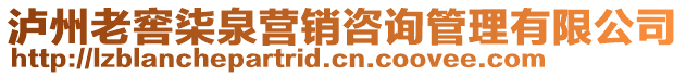 泸州老窖柒泉营销咨询管理有限公司