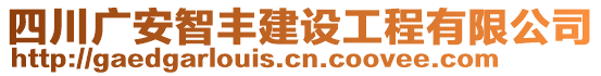 四川廣安智豐建設工程有限公司