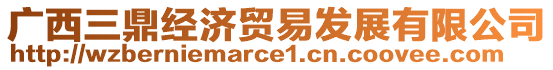 廣西三鼎經(jīng)濟(jì)貿(mào)易發(fā)展有限公司