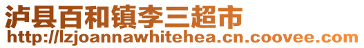 泸县百和镇李三超市