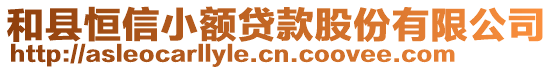 和縣恒信小額貸款股份有限公司