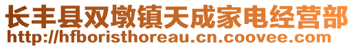 长丰县双墩镇天成家电经营部