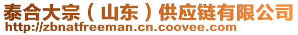 泰合大宗（山東）供應(yīng)鏈有限公司